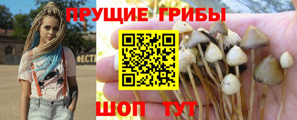 Псилоцибиновые грибы ЛСД Михайловск