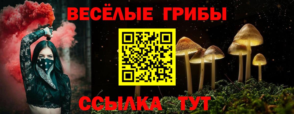 Codein Михайловск