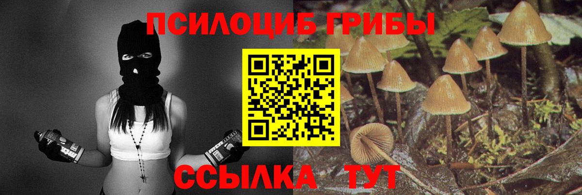 как найти   Псилоцибиновые грибы мухоморы  Вход с VPN  Михайловск 